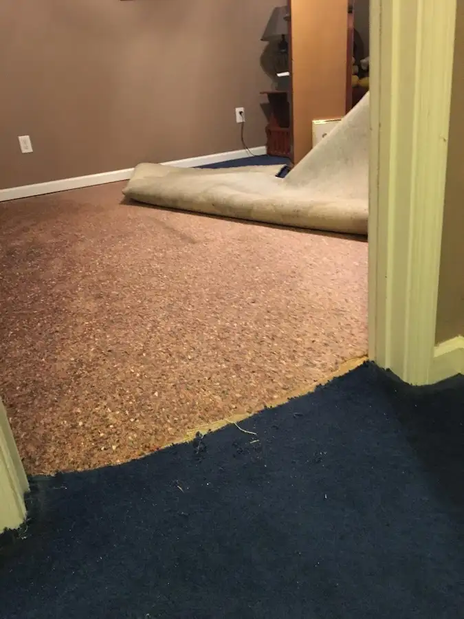 Carpet pad removal revealing water damage during Drying & Dehumidification in Millbrae