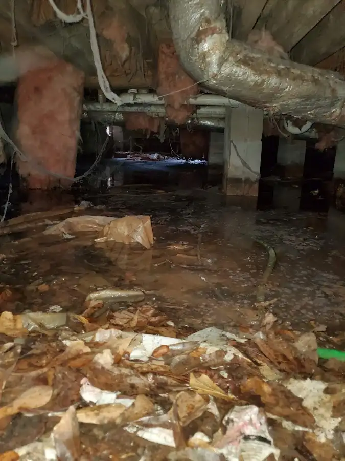 Crawl space flood assessment for Leak Detection & Repair in Millbrae